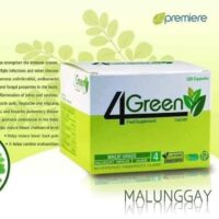4 Green is a Natural & Organic super food Supplement